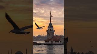 🌗 G&uuml;nd&uuml;z geceye, ışık g&ouml;lgeye karışıyor&hellip; Bug&uuml;n denge zamanı.