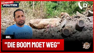 Download Lagu π De Nieuwe Politiek LIVE β’ Omgevallen boom vernietigd woning (Suriname) MP3 Download Lagu π De Nieuwe Politiek LIVE β’ Omgevallen boom vernietigd woning (Suriname) MP3