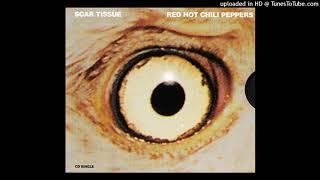 Red Hot Chili Peppers - Scar Tissue (2020 remix)