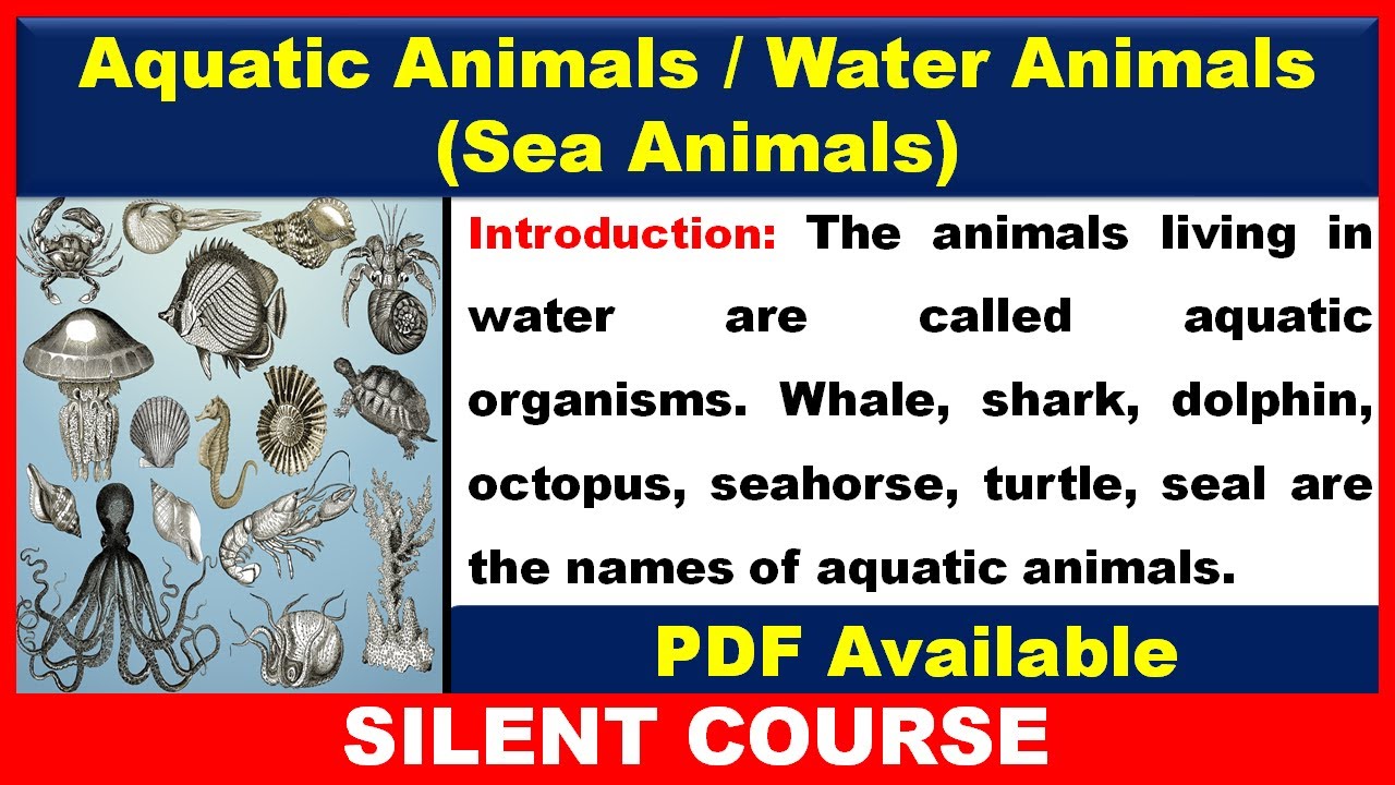 aquatic animals essay in english