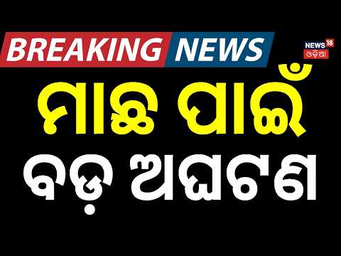 ହେ ପ୍ରଭୁ ଏ କ'ଣ ହୋଇଗଲା ? Fisherman's Son Falls into Daya River, Rescue Search Continues । Odia News