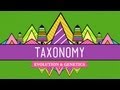 Taxonomy: Life's Filing System - Crash Course Biology #19