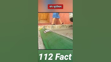 Revolutionizing Road Safety: The Smart Speed Breaker Solution 😱 #shorts #facts