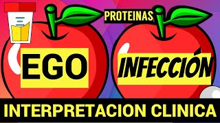 EXAMEN GENERAL DE ORINA | INTERPRETACION CLINICA CON MANZANITAS