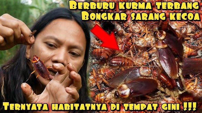https://i.ytimg.com/vi/F38Mh-CzWb4/hq720.jpg?sqp=-oaymwEhCK4FEIIDSFryq4qpAxMIARUAAAAAGAElAADIQj0AgKJD&rs=AOn4CLCI06-k3pscjMwea2HhSQUlC-Fxng