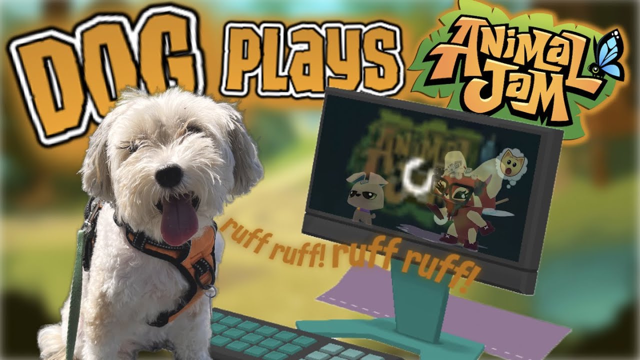 My DOG Plays Animal Jam for Me! *ADORABLE* Denaguo AJ YouTube