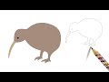 How to draw a kiwi bird  easy drawing  coloring