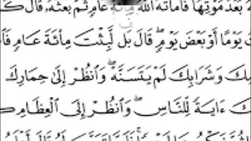 ما تيسر من سورة البقرة _ مروان كامل