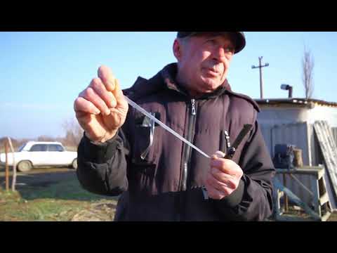 ხეხილის მრავალწლიანი ნარგავების გადამყნობა