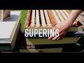 Supering Hives