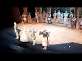 Опера Дон Паскуале Мариинский театр Opera Don Pasquale Mariinsky Theater mp3