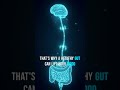 They Don't Want You To Know This Secret Nerve... (Vagus Nerve Biohack) #microbodyscience #facts