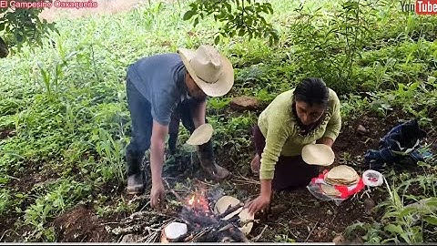 ✅️🤠My wife accompanies me to the field to clean the cornfield and we enjoy a delicious meal