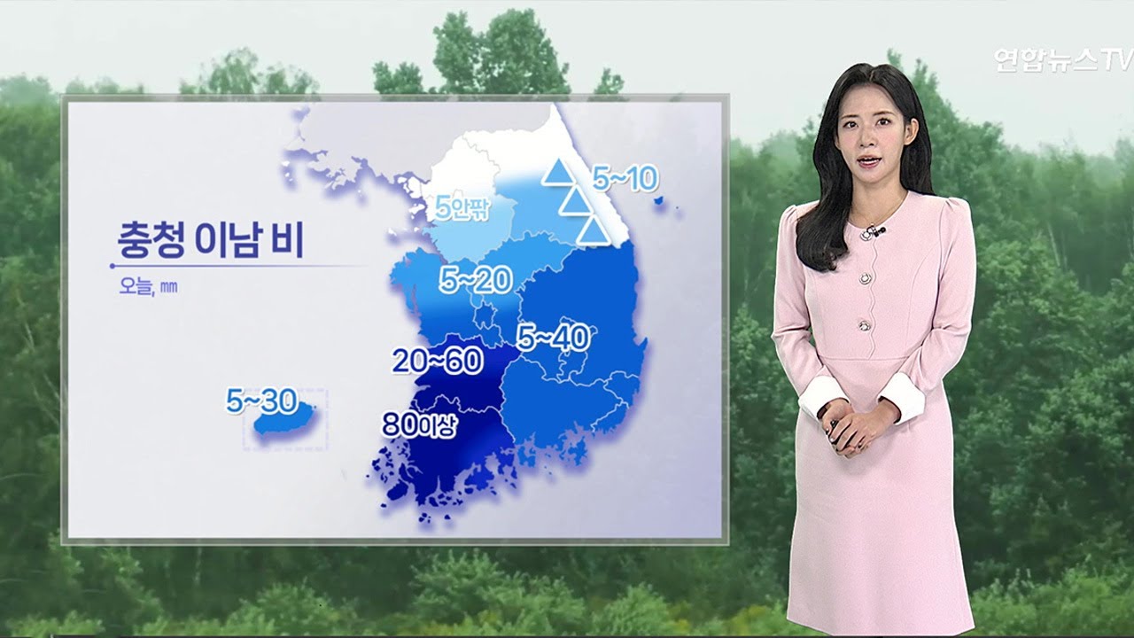 [날씨] 오늘 충청 이남 비…충남, 호남 곳곳 호우  / 연합뉴스TV (YonhapnewsTV)