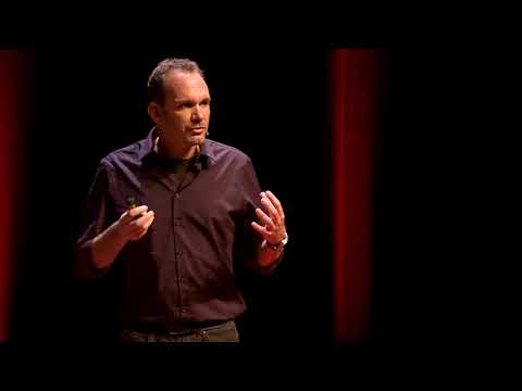 Sleep deprivation and memory problems | Robbert Havekes | TEDxDenHelder