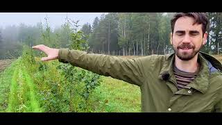 AF4EU Innovation Tutorial: Lill-Nägels Agroforestry Pilot EFI (Finland)