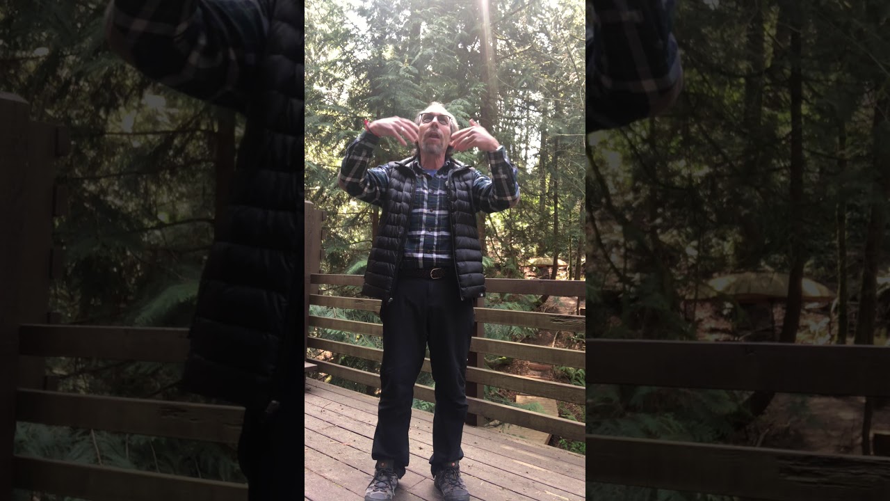 5 минут по физике: 4. От Галилея до Эйнштейна: задаем вопросы и опровергаем свои заблуждения