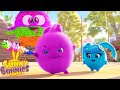 SUNNY BUNNIES - Piñata Fun and Games | Season 3 | Cartoons for Kids