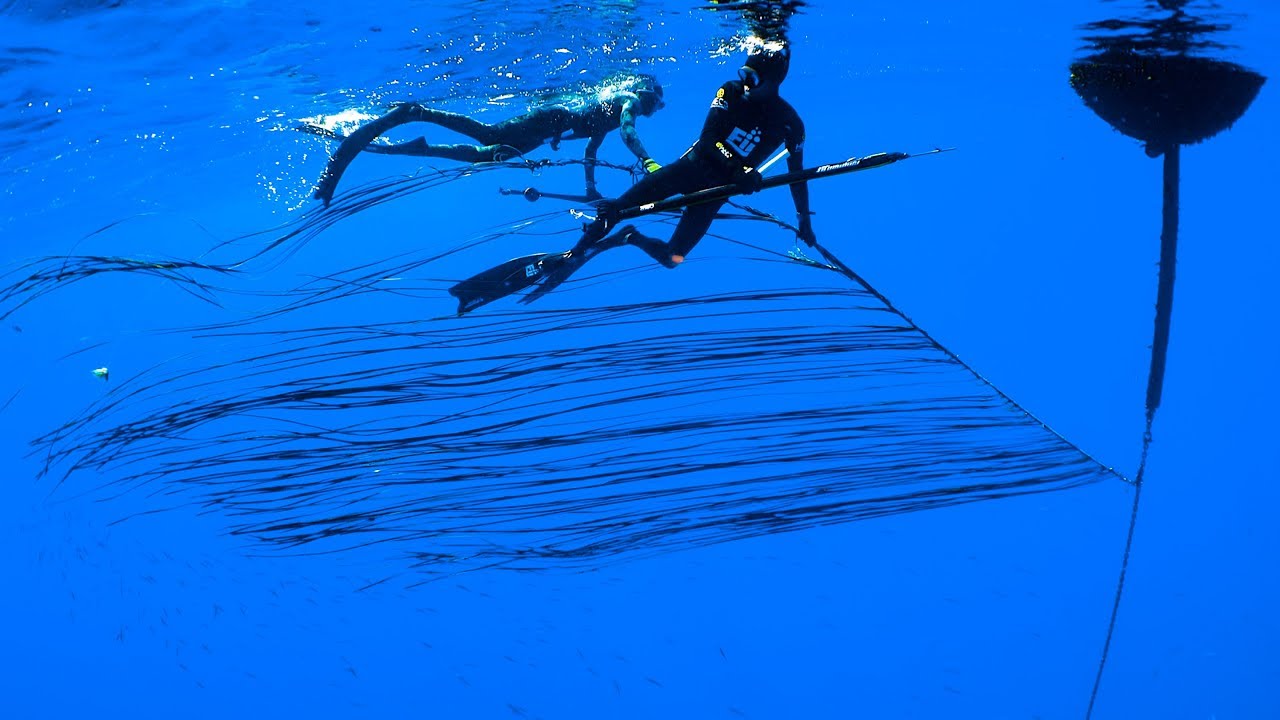 LOOK BEHIND YOU! - Spearfishing Kona, Hawaii