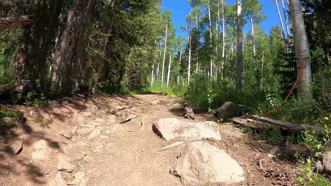 Schoneman Park Road 1