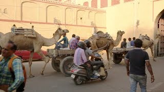 Raĝastano · Le Radjastan