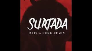 Dadá Boladão, Tati Zaqui & OIK - Surtada (áudio)