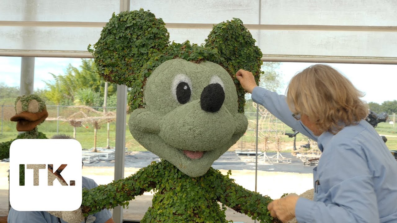 Here's how Disney turns plants into your favorite characters YouTube