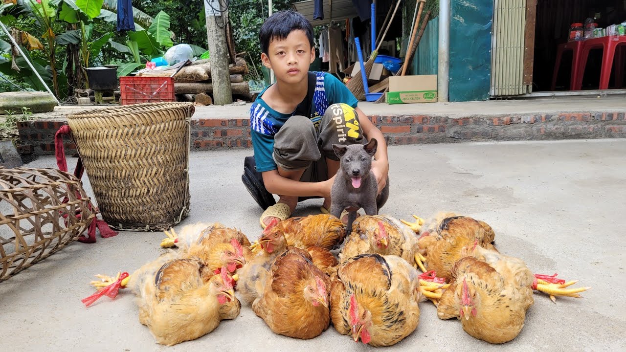 The poor boy and the dog caught chickens together and brought them to the market to sell