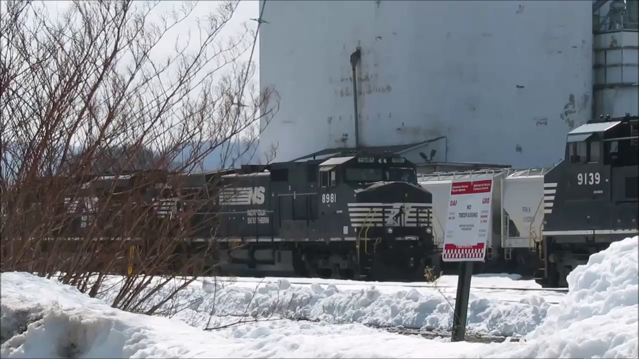 Rare: FEC Train 202 w/ Spine Cars and Norfolk Southern in Binghamton ...