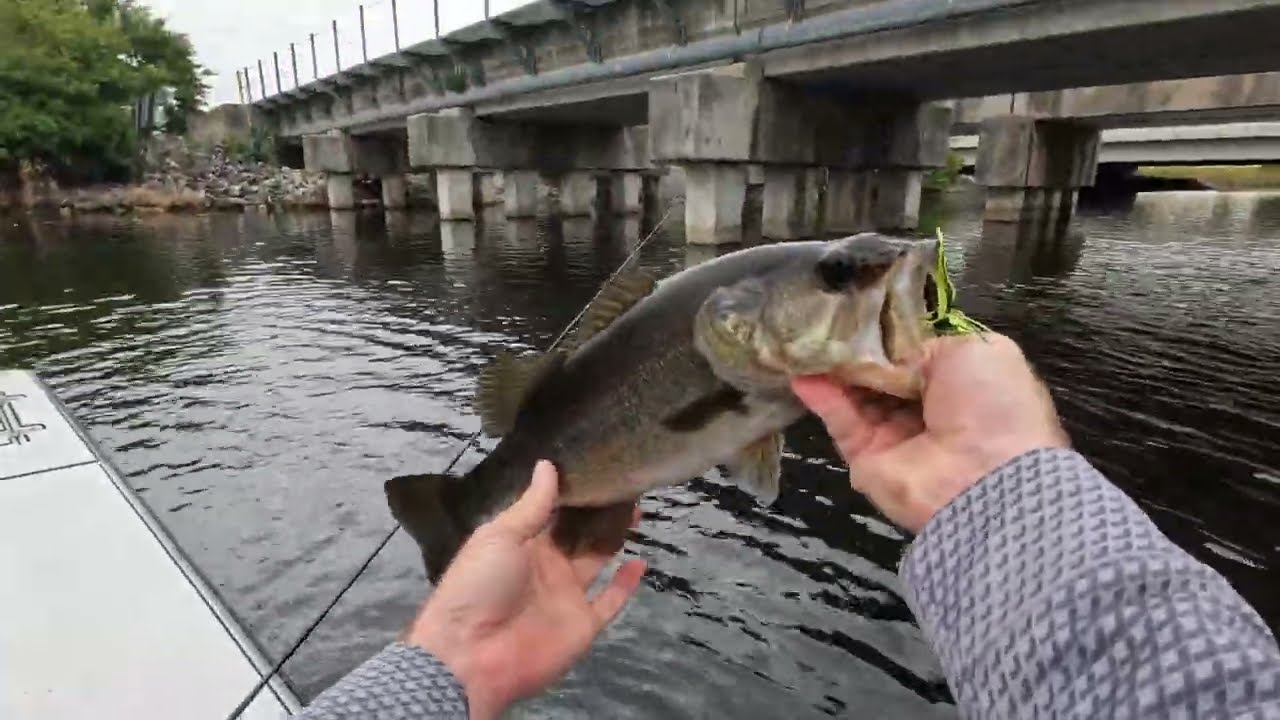Urban Bass Fishing In Lake Worth Florida