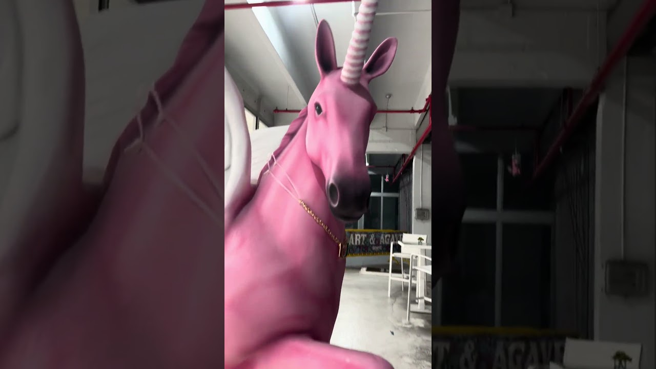 Встретил этого единорога 🦄 в Уинвуде 🥰 такой милый 