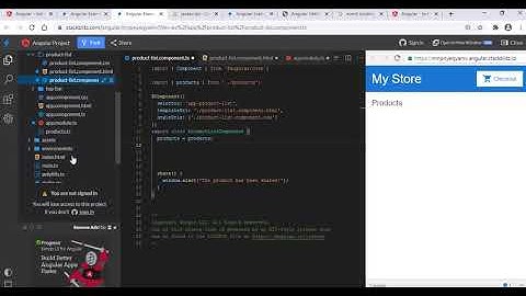 getter & setter methods in angular . Communication between component and template.