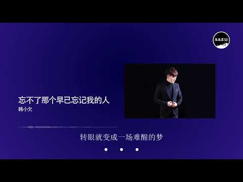 2022華語網絡流行音樂 ||《忘不了那個早已忘記我的人》|| 韓小欠 || 動態歌詞