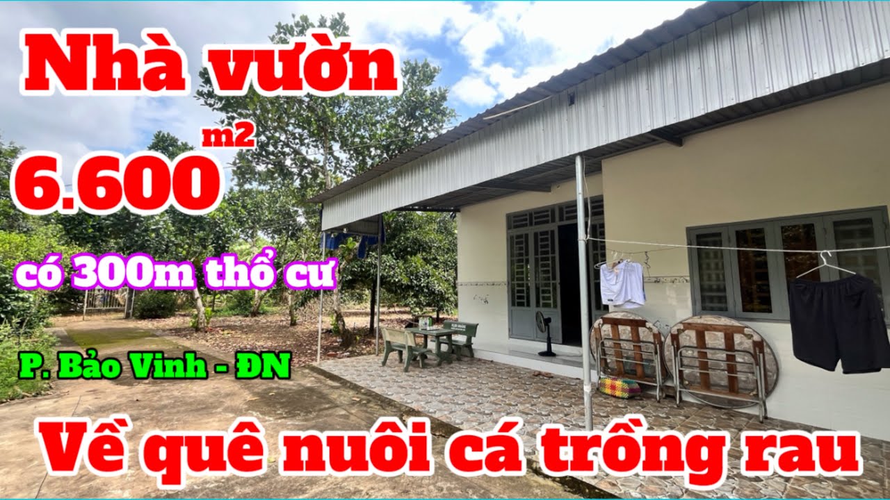 Nhà đất đồng nai, Bán nhà vườn trái cây 6.600m2 có 300m thổ cư P Bảo Vinh - ĐN