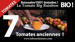 Tomate.Surprise? 7 Tomates surprenantes et insolites.Video 1.Bio et Nature