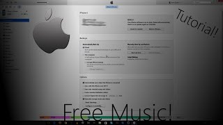 Tutorial: How to get ANY song from your computer to your iPhone! screenshot 2