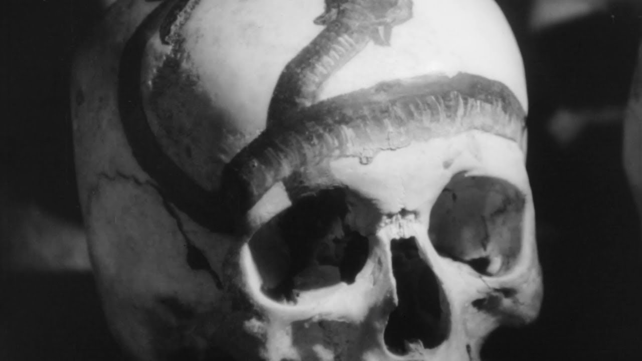 Coltaine - Mogila (Official Video)