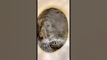 الحجر الأسود إلى جنة في أعالي سما 