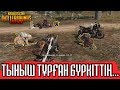 Тыныш тұрған бүркіттің... | PUBG Mobile