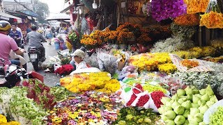 SÀI GÒN #128: Chợ hoa Hồ Thị Kỷ (Quận 10) tấp nập hoa xuân chuẩn bị đón tết 2020