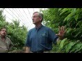 Discussion by Dr Greg Lang of cherries in retractable roof house, June 14, 2013