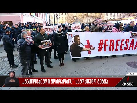 „ნაციონალური მოძრაობის“ სამოქმედო გეგმა