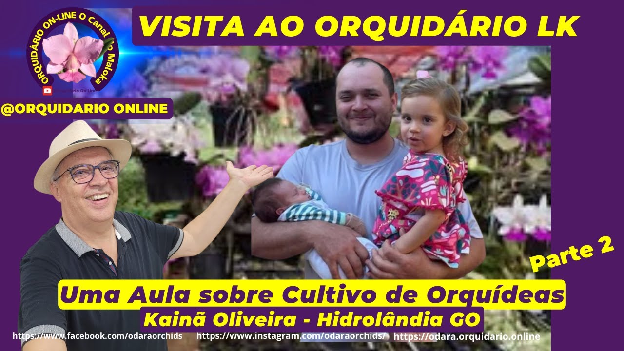 ✅ Visita ao Orquídario do Kainã Cultivo de #orquideas #dicasdecultivo #cattleya #walkeriana Parte 2