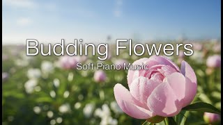 Budding Flowers | Soft Piano for Reading & Relaxation screenshot 5