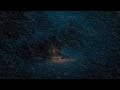 Sleep Expert Presents + 24h Blizzard Storm Ambience from an Icy Castle for Deep, Dreamless Sleep