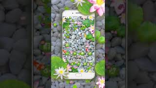 Make your phone lively with the 3D Koi Theme screenshot 5