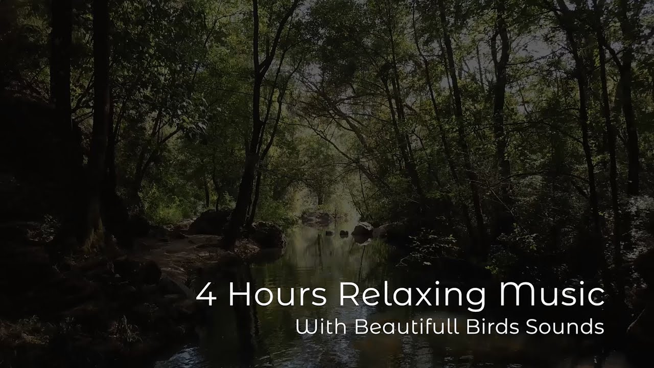 4 Hours Relaxing Music With Beautifull Birds Sounds | Tranquility ...
