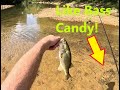 I found the bass cheat codethe bait and fish were stacked