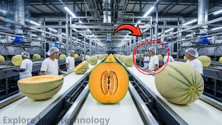 The INSIDE Scoop on America's Most Advanced Melon Factory | Explore high technology