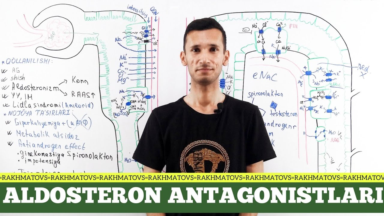 Aldosteron antagonistlari